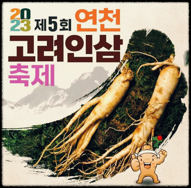  연천 고려인삼축제 : 우리나라 최고의 인삼을 만날수 있는 기회의 장