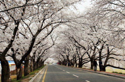 경주 축제 행사 일정 알아보기