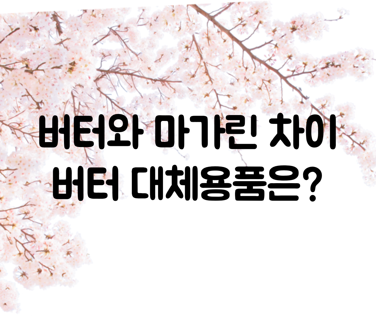  버터와 마가린 차이,맛, 구분 / 버터 대신 마가린, 식용유 괜찮을까?