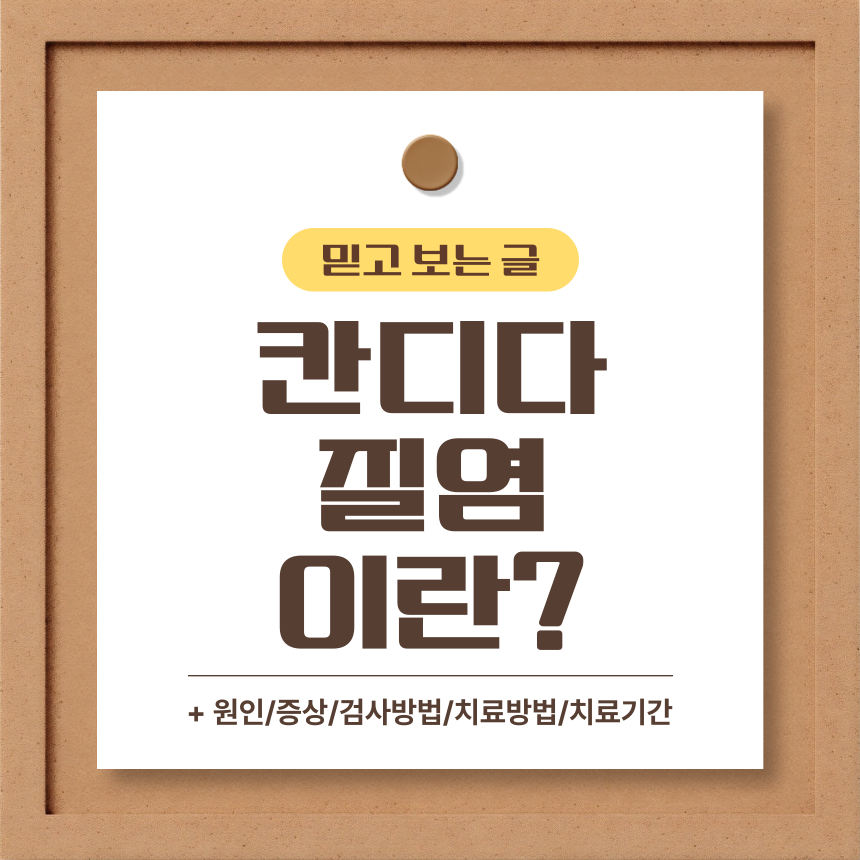  칸디다질염 이란?