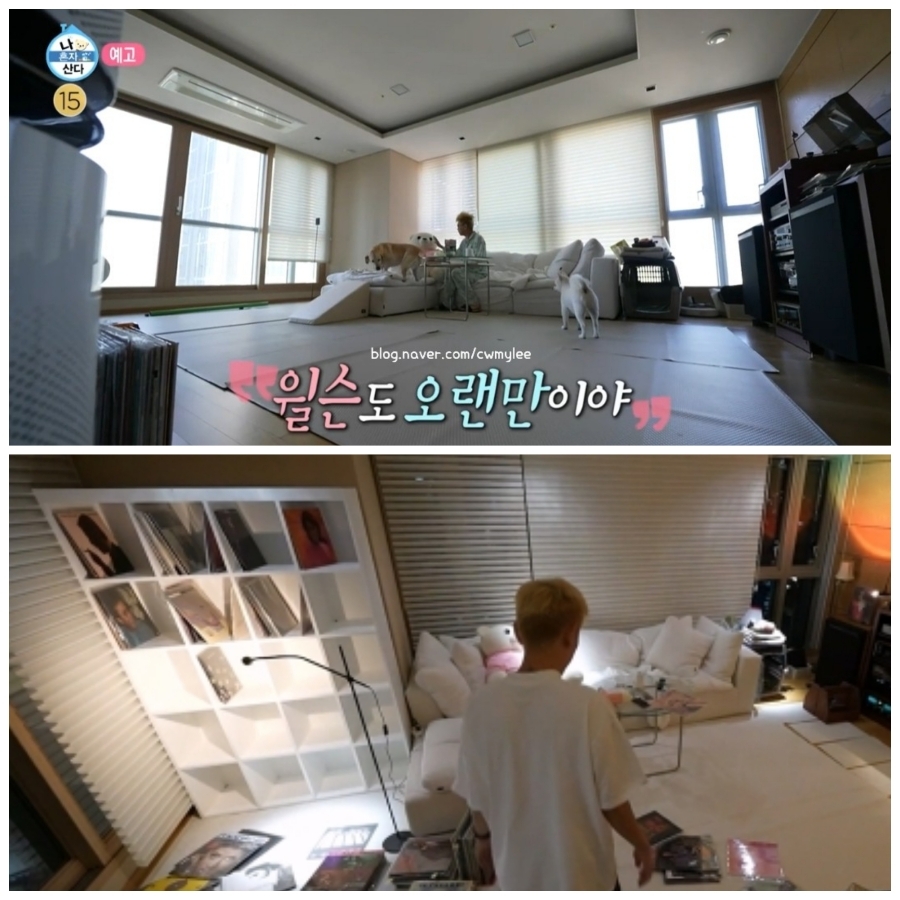  나혼자산다 나혼산 가수 ️크러쉬 집 아파트 위치 여자친구 레드벨벳 조이 나이 키 ️인스타 학력 고향 프로필 차 자동차 반려견 두유 로즈 군대