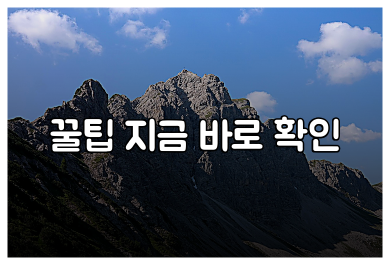 꿀팁 지금 바로 확인