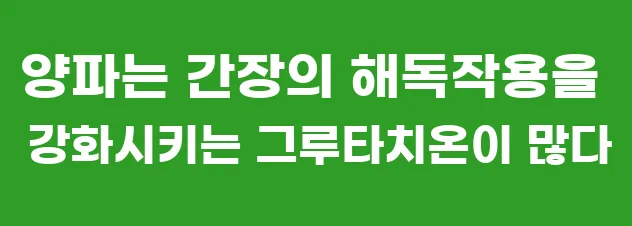 양파는 간장의 해독작용을 강화시키는 그루타치온이 많다