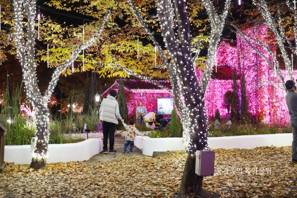 경북 축제 경북 아이와가볼만한곳 청도 34