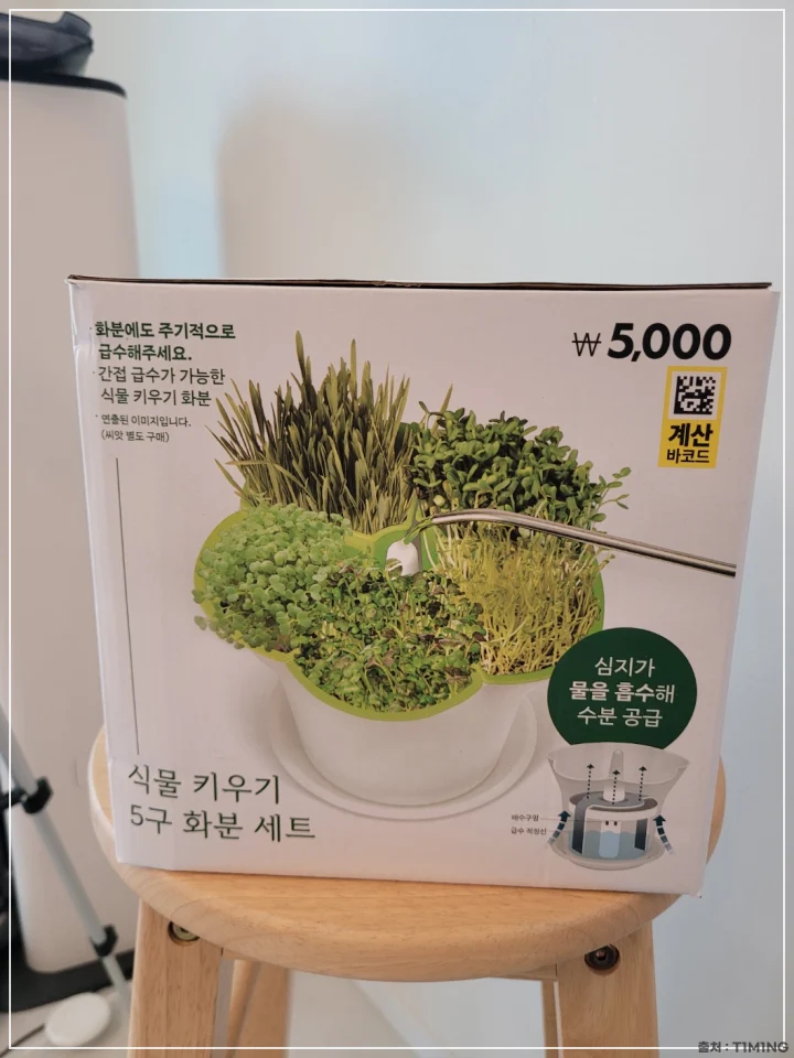 다이소 5구 화분 세트 박스