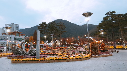 2019년 국화축제 사진으로 가운데 백조와 분수가 있다