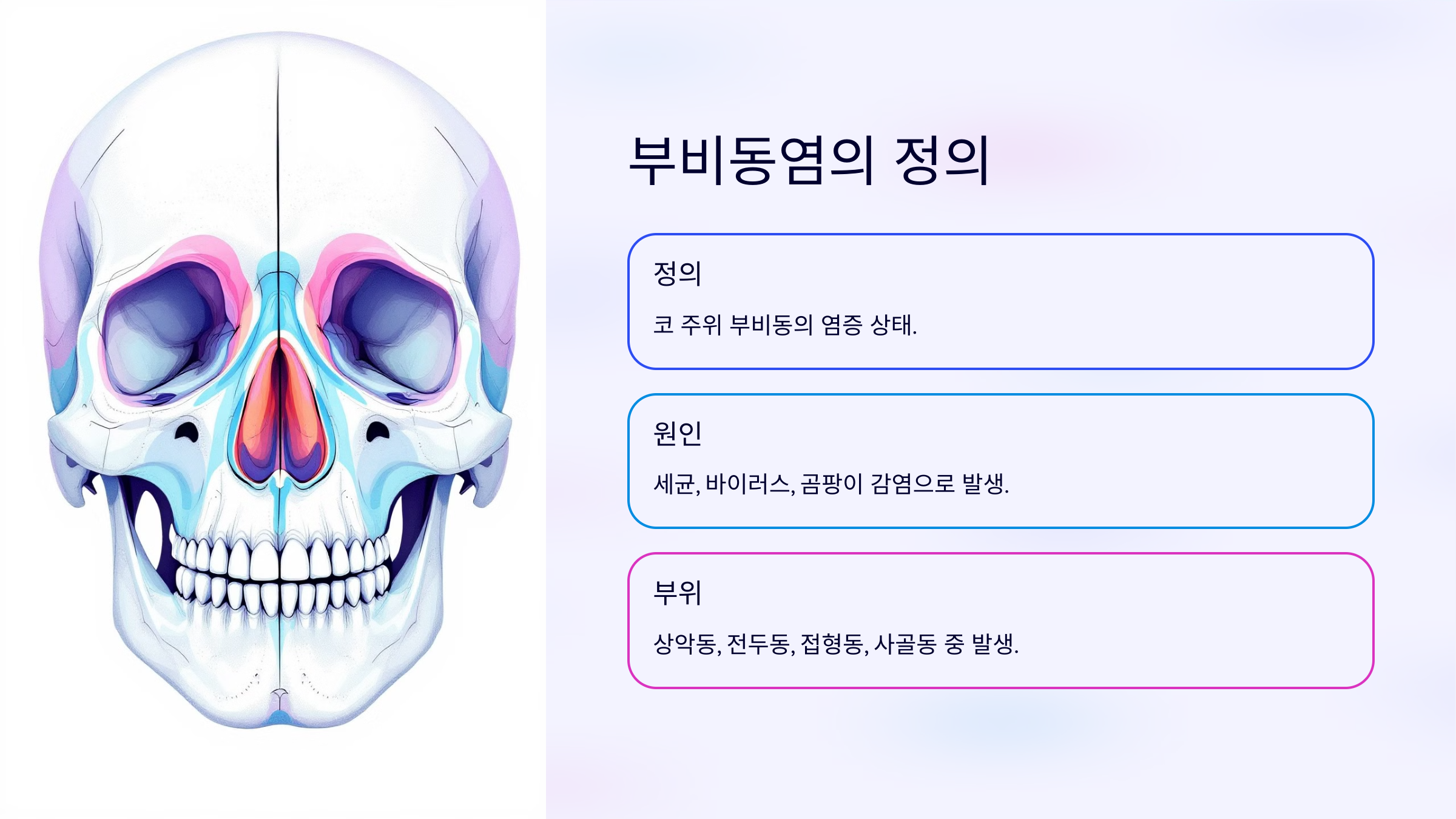 부비동염의 정의