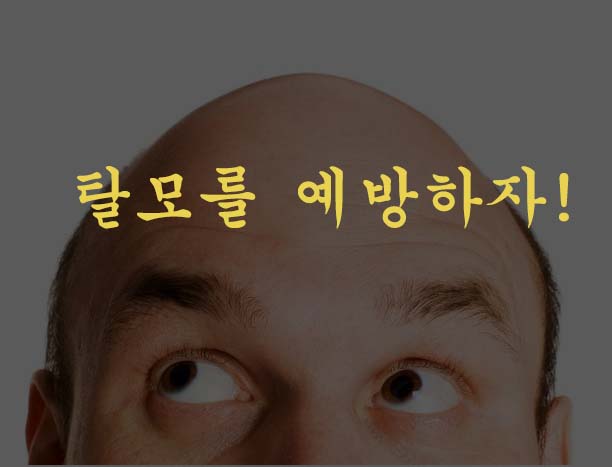  탈모 관리법 - 탈모에 좋은 습관 알아보기 !