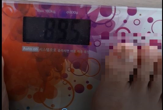  다이어트 시작! 1일차