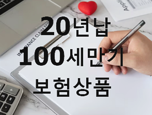 20년납 100세 만기 보험