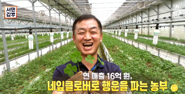  서민갑부 네잎클로버 택배 주문 홍인헌 푸드클로버 홈페이지