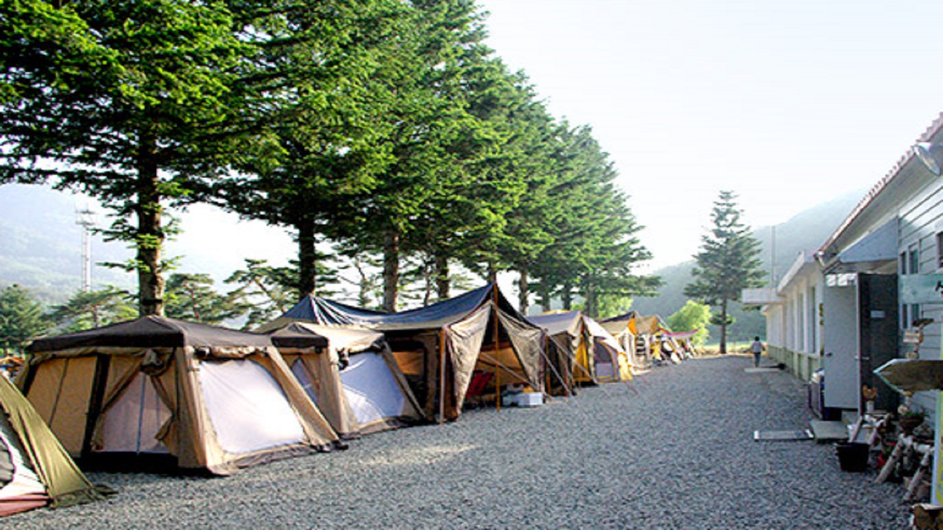 강릉 대기리 산촌 체험 학교 야영장 바로가기