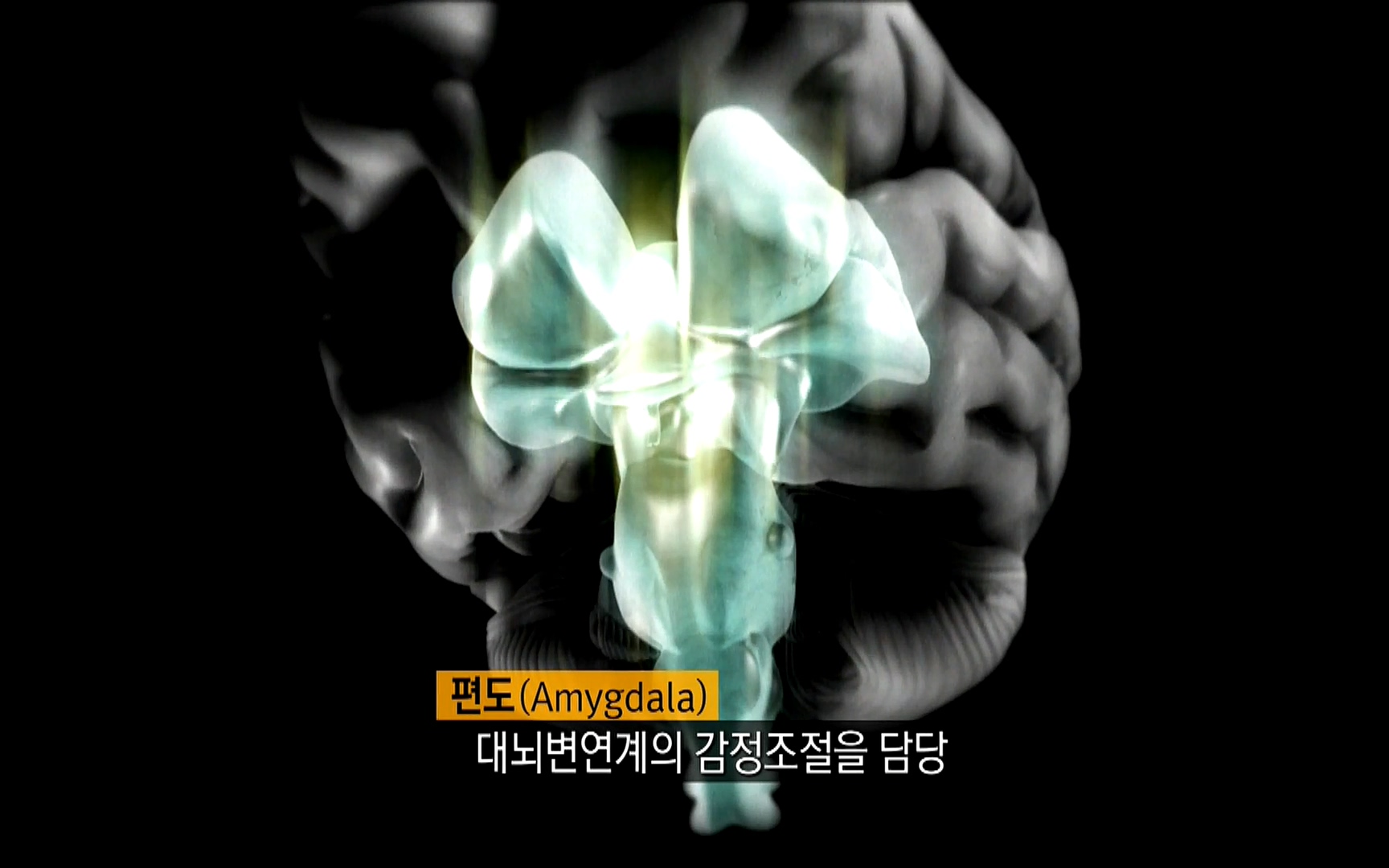 다큐 프라임 - TV - 교육의 중심 EBS자본주의 2부. 소비는 감정이다.mp4_20220512_193706.564.jpg