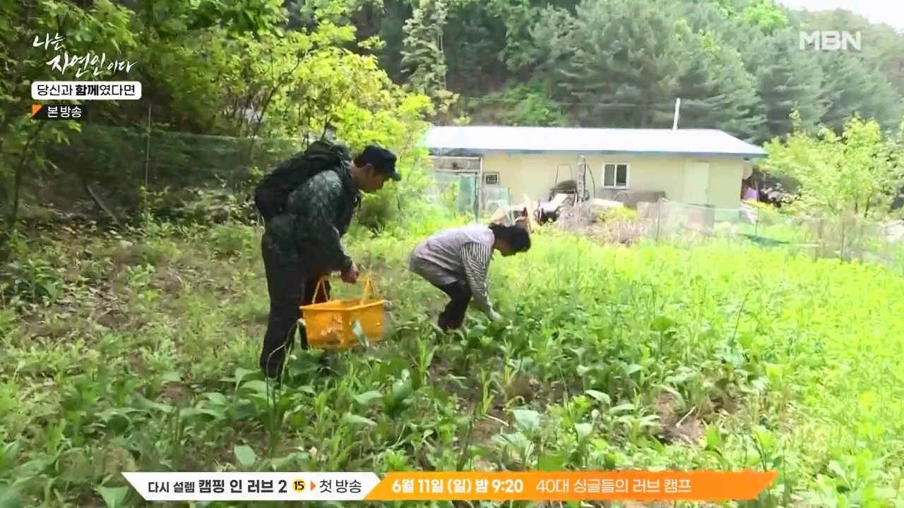 나는 자연인이다.E556.230532p-NEXT.mp4_20230601_201457.468.jpg