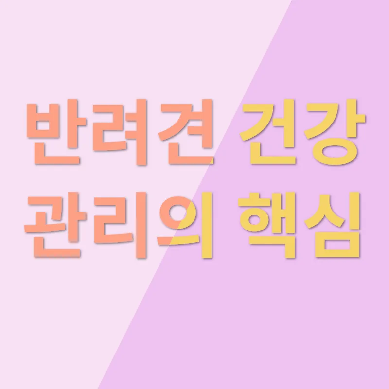 반려견 건강 관리_1