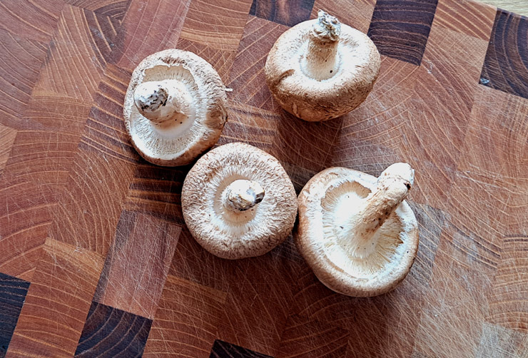 미역국 끓이는 방법 쫄깃~ 표고버섯 들깨미역국 고기없이 4