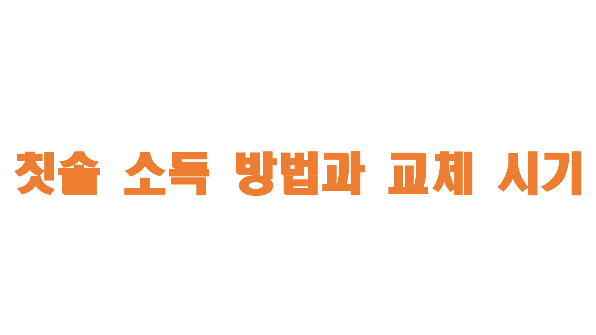  칫솔 소독 방법과 교체 시기