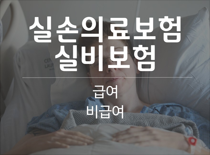 급여 비급여 뜻