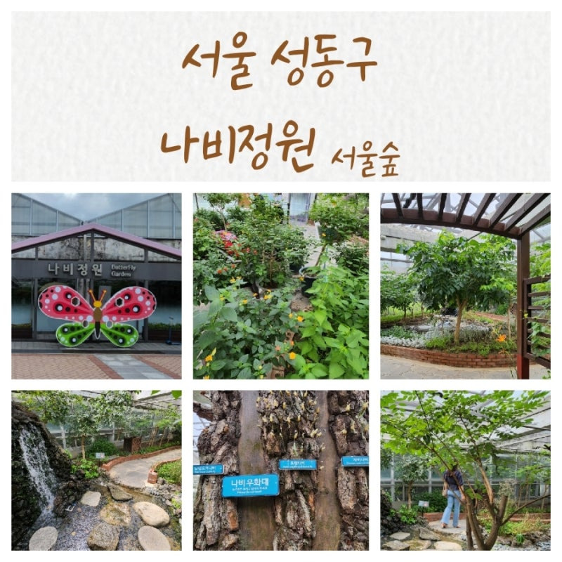 나비정원 이미지