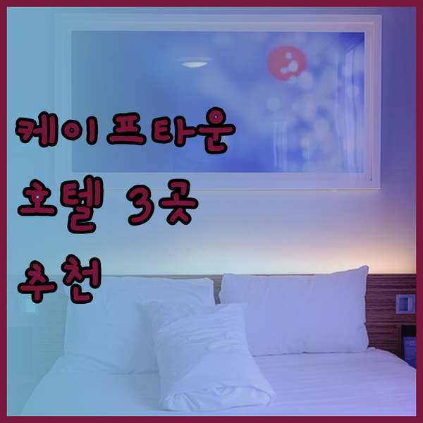 케이프타운 공항 근처 호텔 3곳 비교