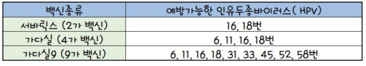 자궁경부암 예방접종 종류와 예방가능한 HPV 바이러스