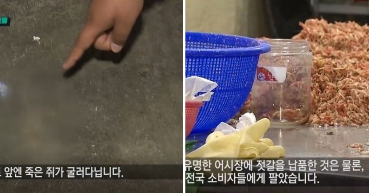  연 매출 18억.. 유명 젓갈 업체의 위생상태 수준;;