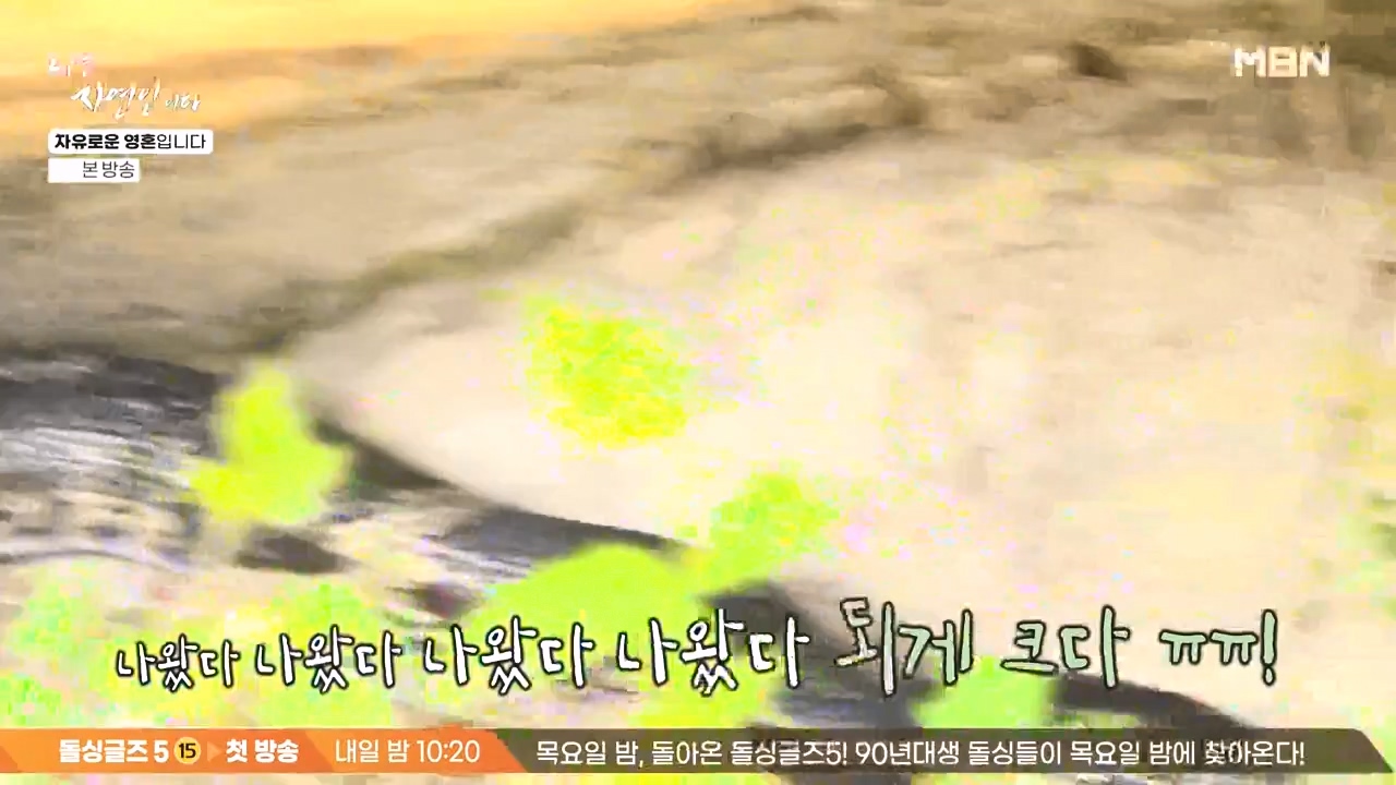 나는 자연인이다.E604.240509p-NEXT.mp4_20240509_195709.041.jpg