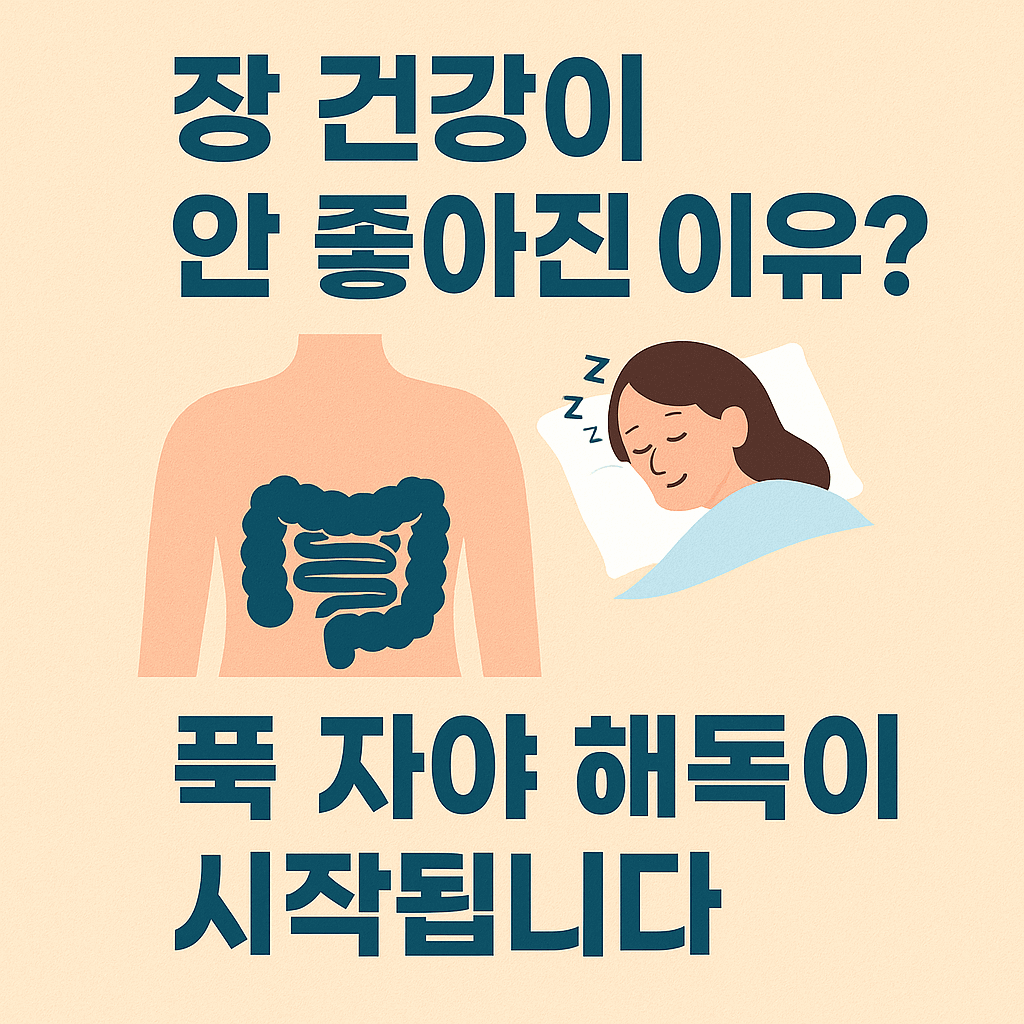 장 건강을 위한 숙면의 중요성 썸네일 이미지