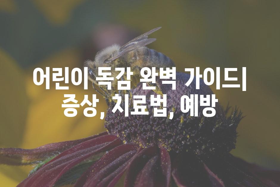 API 할당량 초과 오류 3