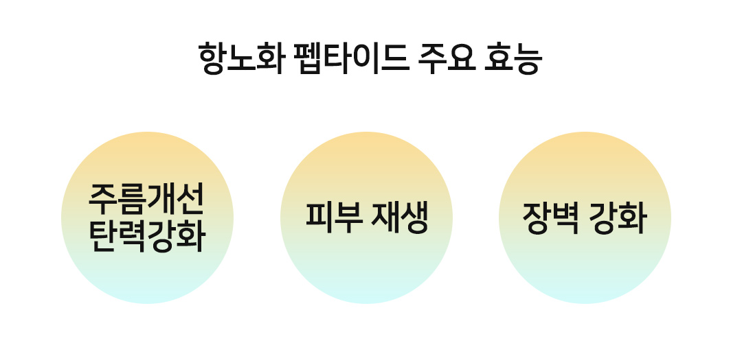 항노화 펩타이드 주요 기능