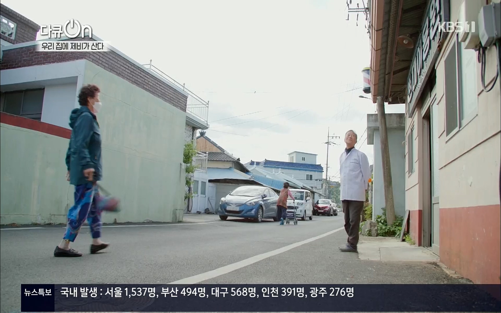 다큐 On.E143.220610p.H264-F1RST.mp4_20220613_202633.571.jpg