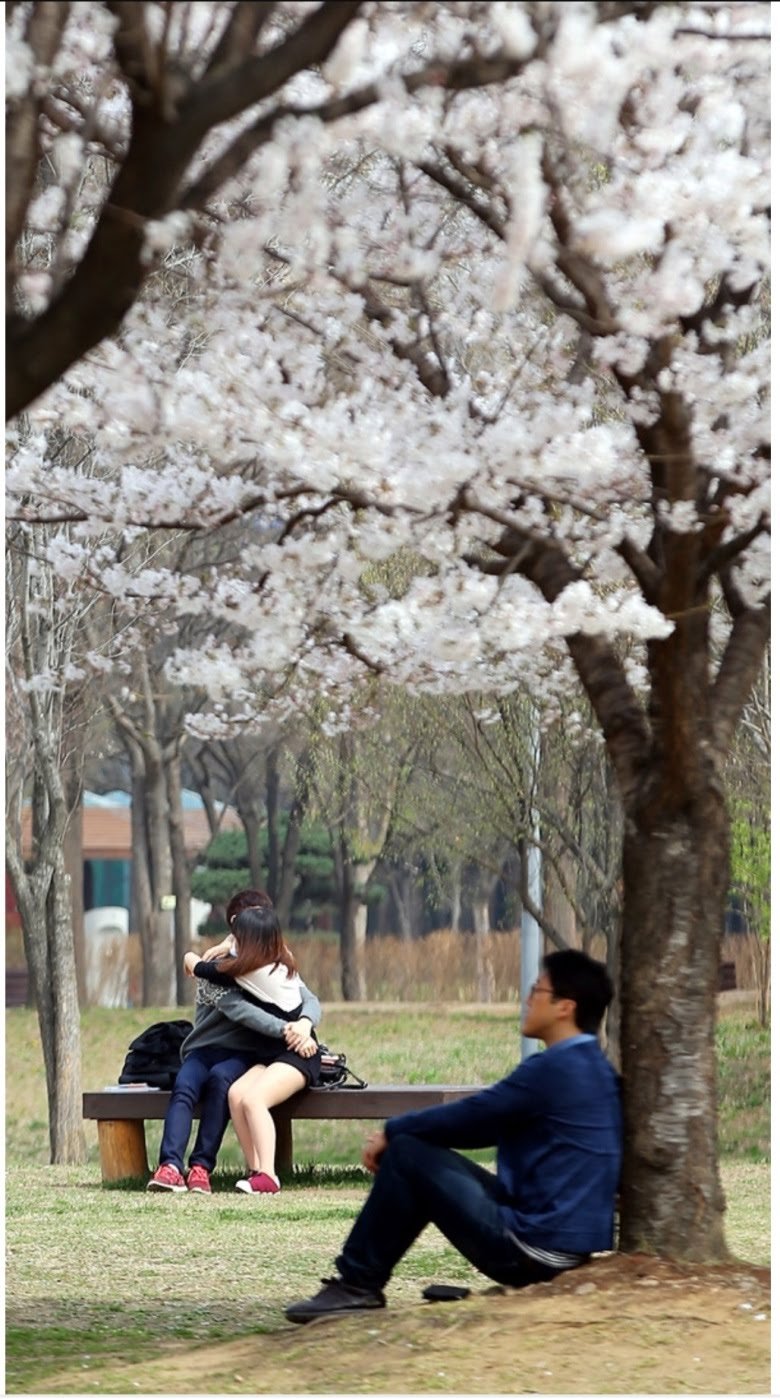  국내 퓰리처상 수상작 모음