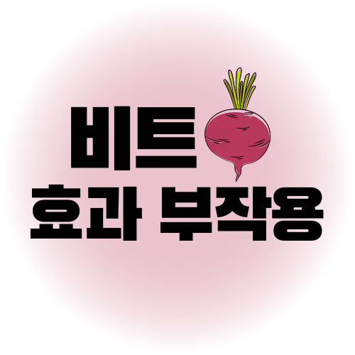 비트 효능 부작용