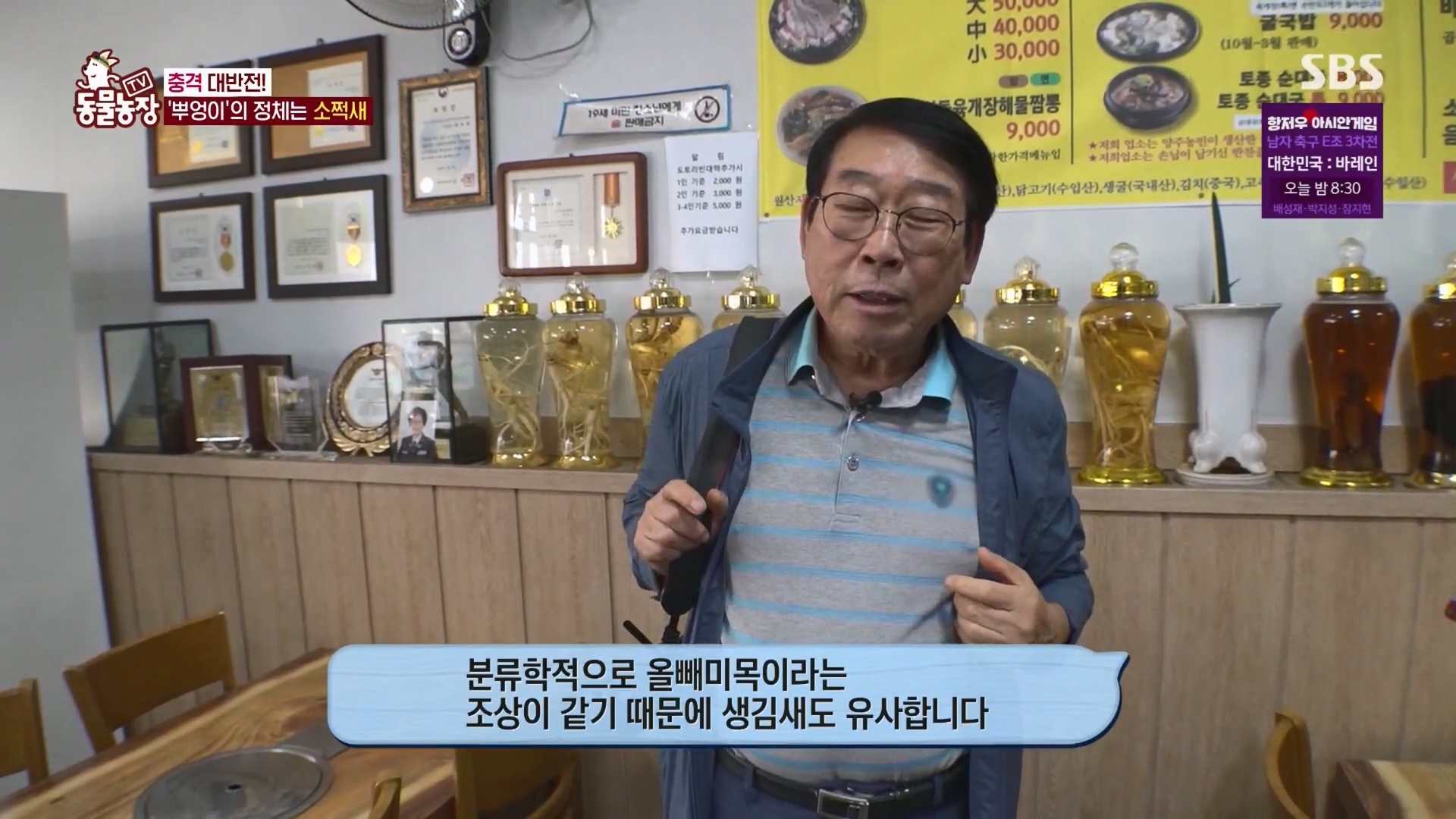 TV 동물농장.E1139.230924p.H264-F1RST.mp4_20230924_170623.099.jpg