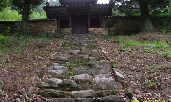 영상일기/20230216/나대자연 57