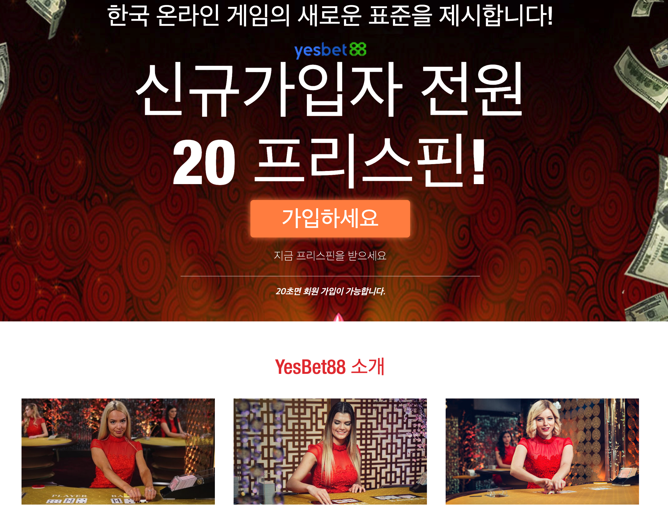 사이트