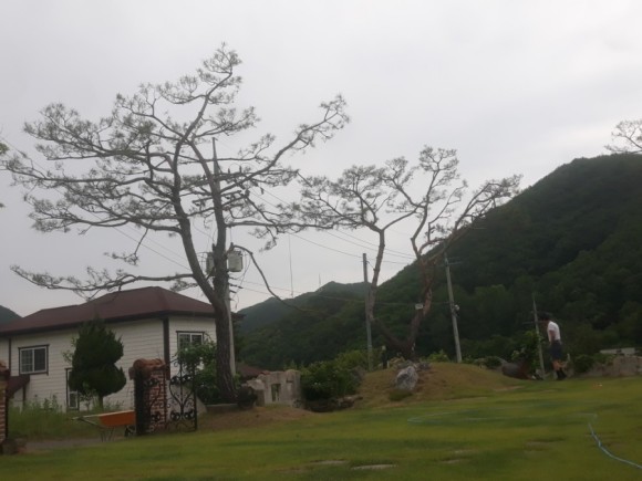 전원 주택 마쯔전지 시기 6