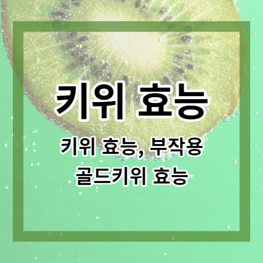  키위 효능 및 부작용, 골드키위 효능과 정보 한번에 알아보기