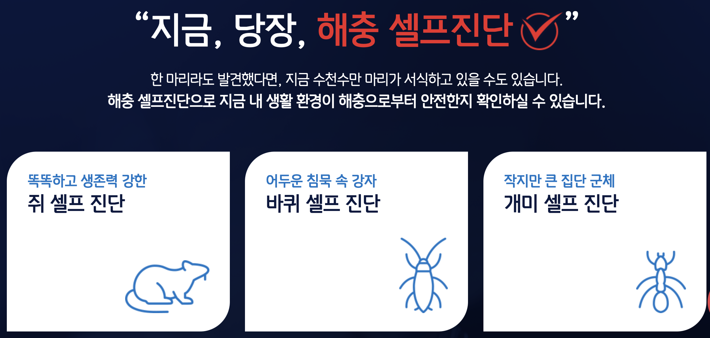 세스코 가정집 가격, 바퀴벌레 퇴치방법, 세스코 방역비용