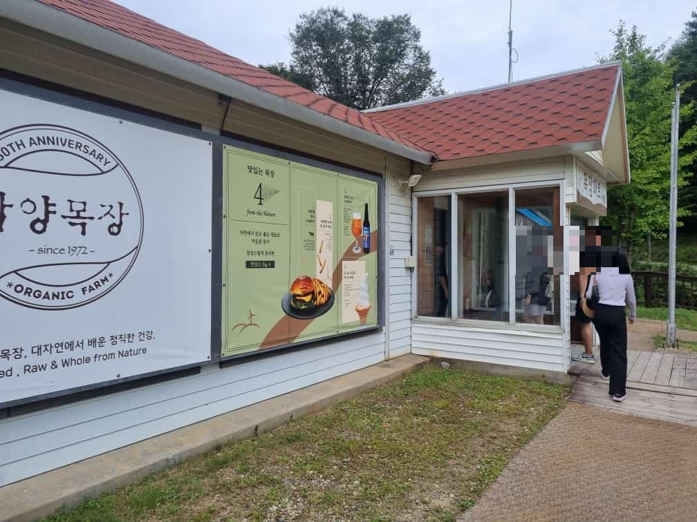 대관령 삼양목장 마트