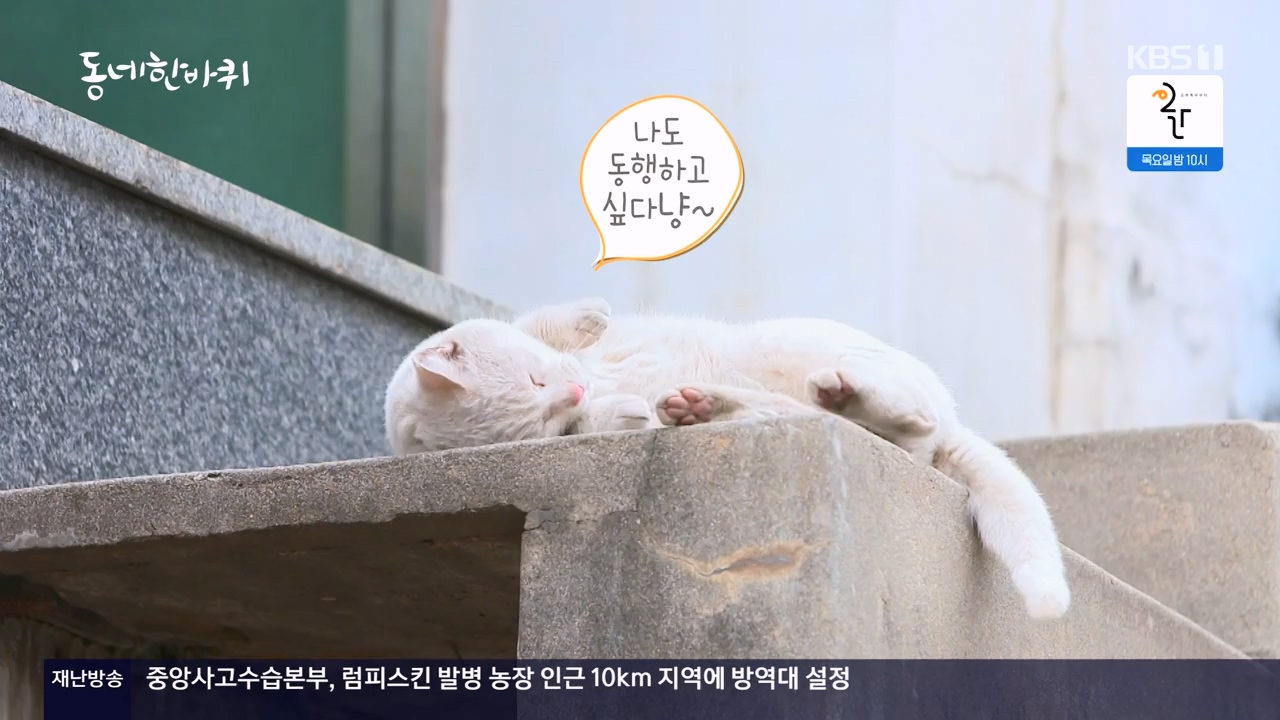 동네 한 바퀴.E248.231119p-NEXT.mp4_20231120_195208.296.jpg