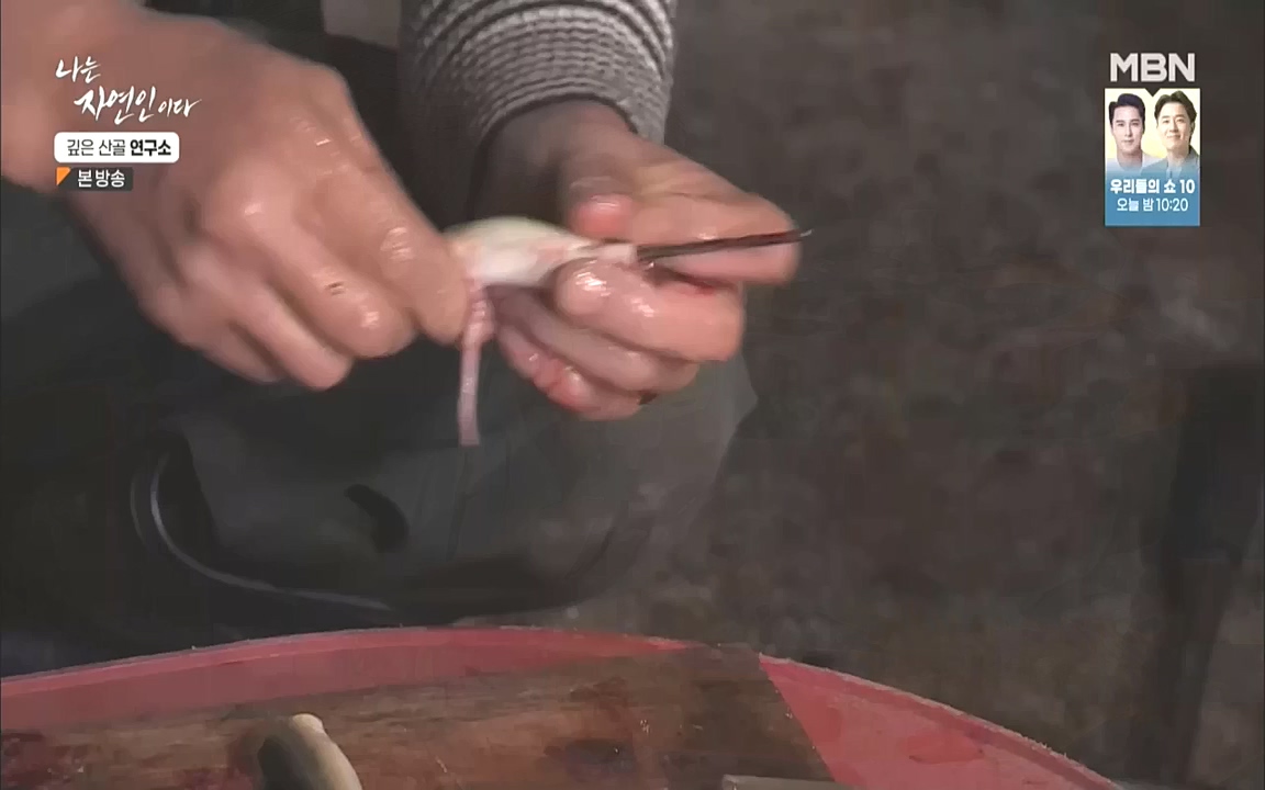 나는 자연인이다.E523.221013p.WANNA.mp4_20221013_201144.504.jpg