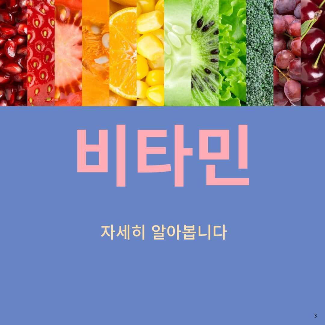  비타민 종류, 기능, 과잉과 결핍 증상, 그리고 대표 음식