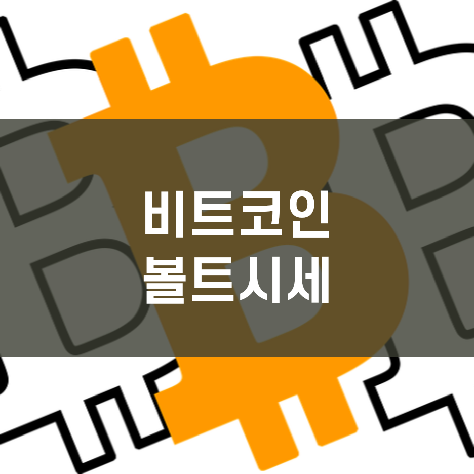  비트코인 볼트시세