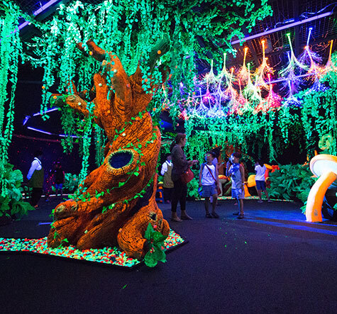 무주 반딧불 축제 기본정보, 프로그램, 할인 정보, 주차장 안내