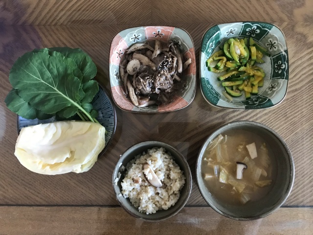  채식 시작