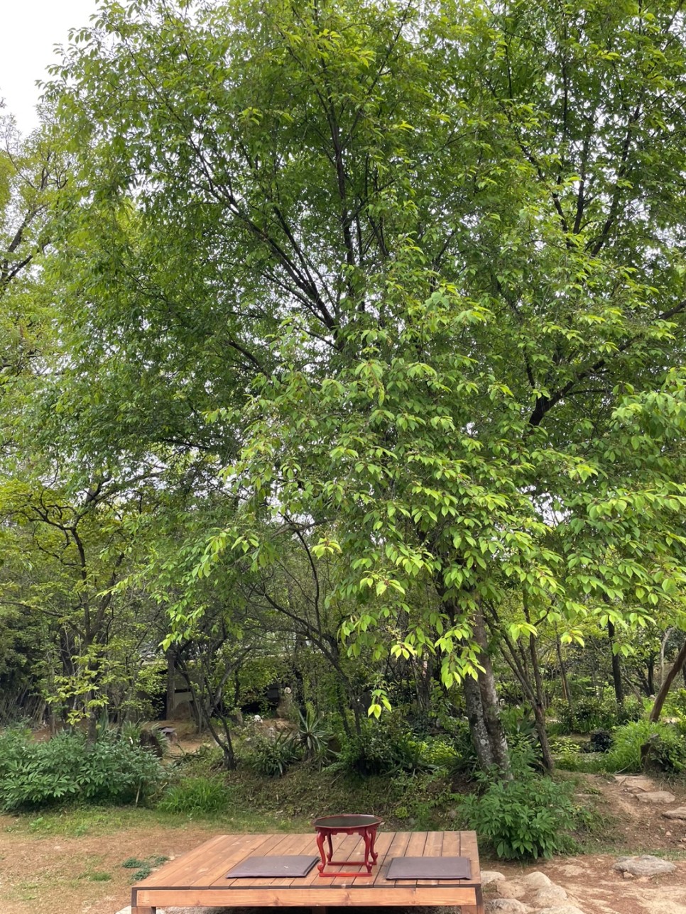 윤스테이 촬영 (구례카페/구례여행) 윤스테이 촬영장소, 32