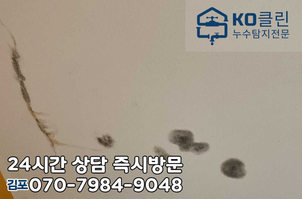 마산동 아파트, 빌라, 상가 건물2
