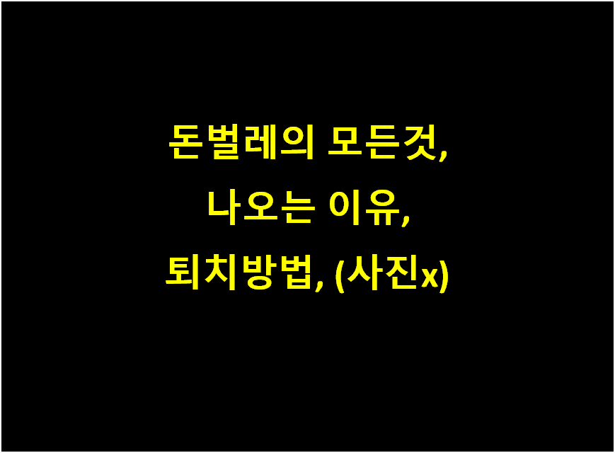  돈벌레 나오는 이유, 완벽한퇴치방법, 익충? (사진x)