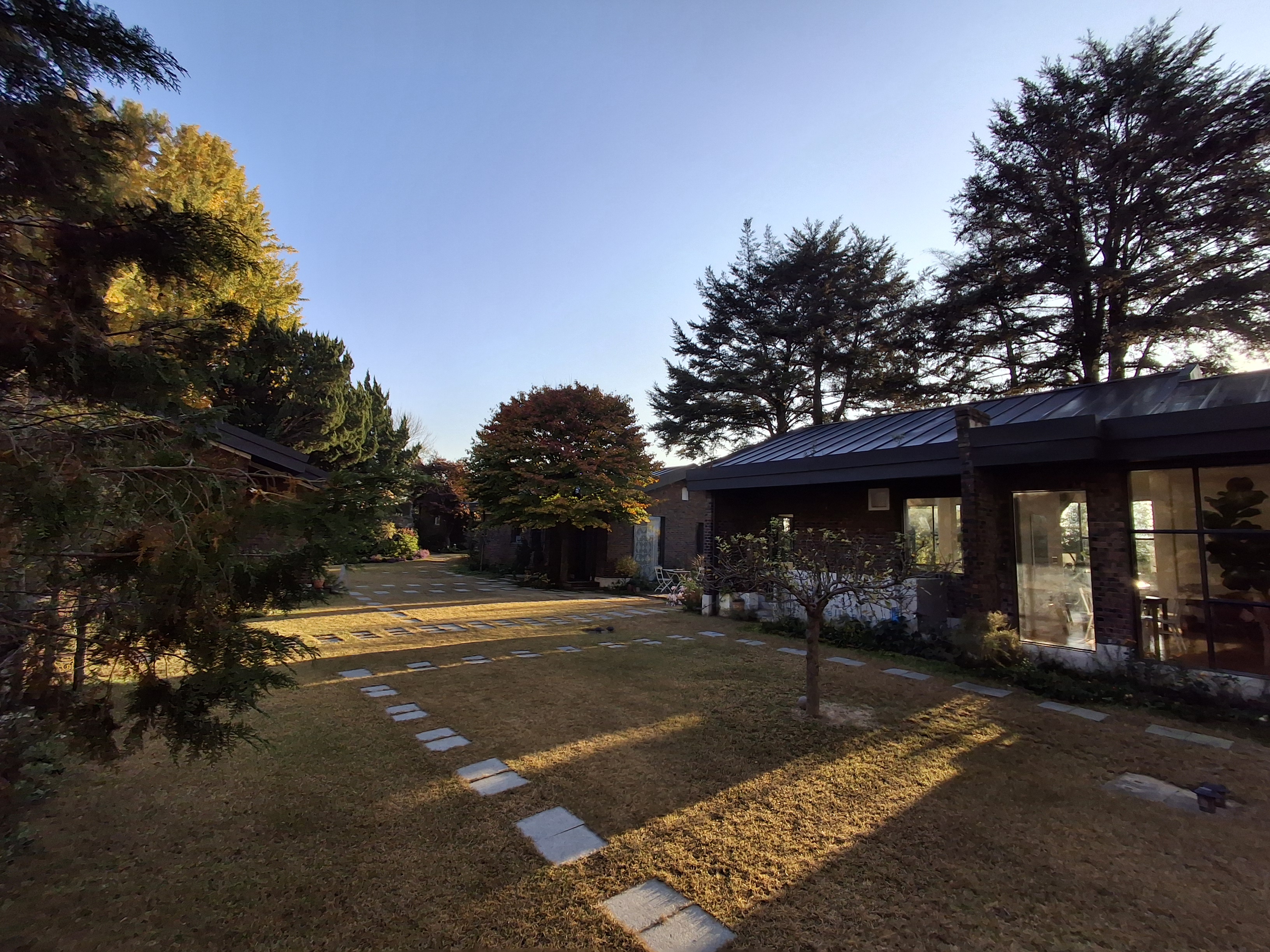 첼로네시아 이미지